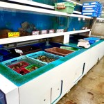大型水槽完備！水槽から活き活きの魚や貝類をどうぞ！