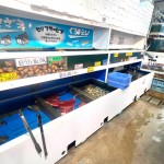 知多半島で水揚げされる貝類全般が揃っております