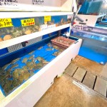 高級食材のアワビもご用意しております